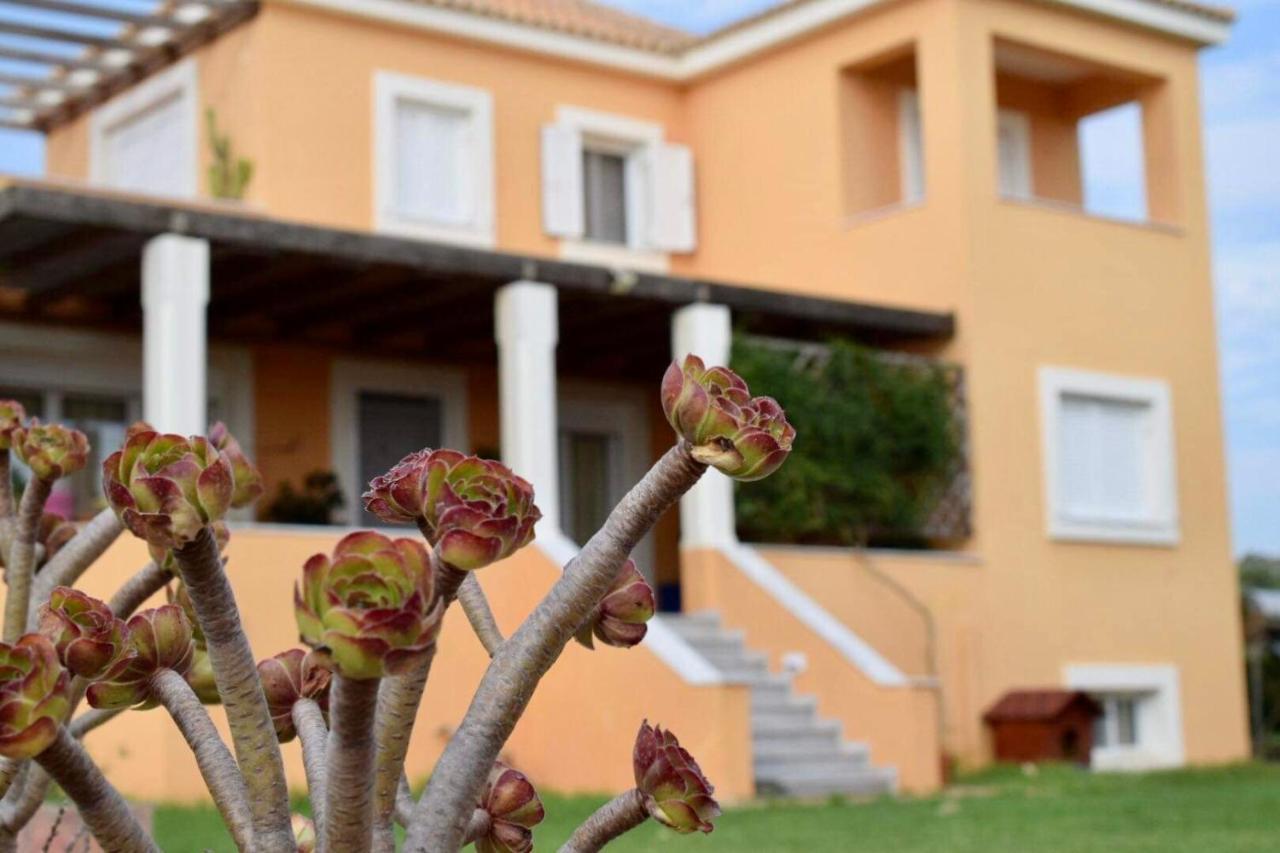 Boutique Hotel Ileas Village Arkoudi Esterno foto